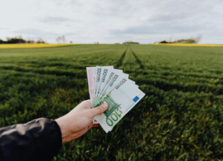 Ile trzeba mieć hektarów, aby dostać dofinansowanie? Odpowiedź może Cię zaskoczyć! dofinansowanie