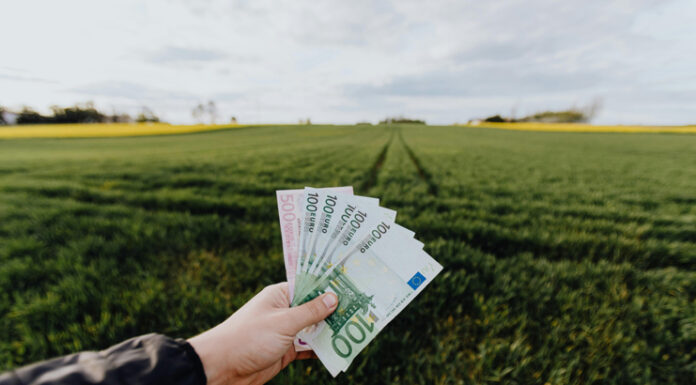 Ile trzeba mieć hektarów, aby dostać dofinansowanie? Odpowiedź może Cię zaskoczyć! dofinansowanie