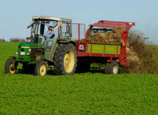 Czy można nawozić obornikiem wiosną? Rolnicy często robią ten błąd – sprawdź, zanim wyjedziesz w pole! rozrzut obornika